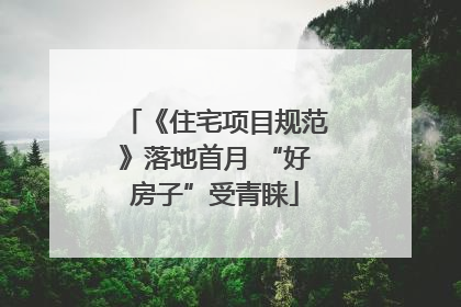 《住宅项目规范》落地首月 “好房子”受青睐