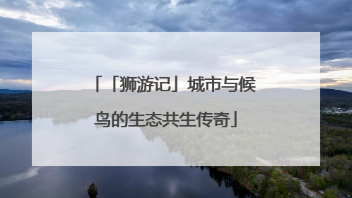 「狮游记」城市与候鸟的生态共生传奇