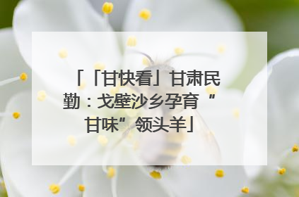 「甘快看」甘肃民勤：戈壁沙乡孕育“甘味”领头羊