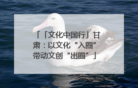 「文化中国行」甘肃：以文化“入圈”带动文创“出圈”
