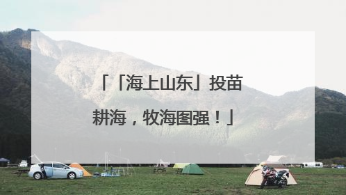 「海上山东」投苗耕海，牧海图强！