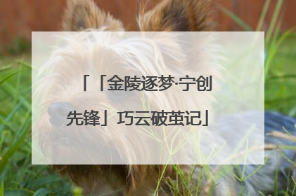 「金陵逐梦·宁创先锋」巧云破茧记