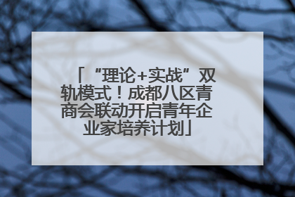 “理论+实战”双轨模式！成都八区青商会联动开启青年企业家培养计划