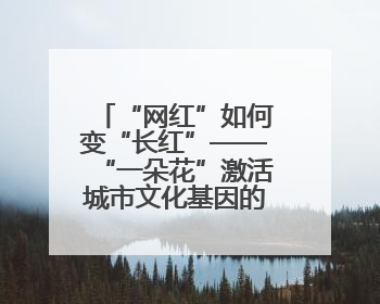 “网红”如何变“长红”——“一朵花”激活城市文化基因的破题之路