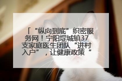 “纵向到底”织密服务网！宁阳堽城镇37支家庭医生团队“进村入户”，让健康政策“落地生根”