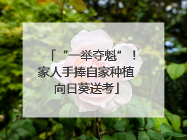 “一举夺魁”！家人手捧自家种植向日葵送考