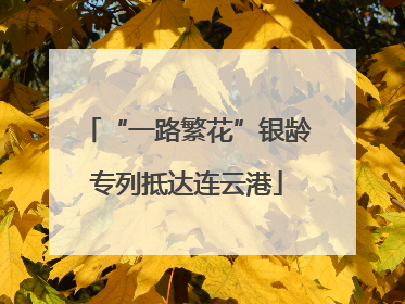 “一路繁花”银龄专列抵达连云港
