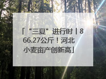 “三夏”进行时丨866.27公斤！河北小麦亩产创新高