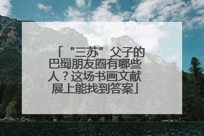 “三苏”父子的巴蜀朋友圈有哪些人？这场书画文献展上能找到答案