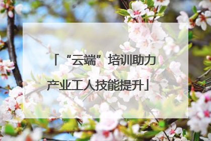 “云端”培训助力产业工人技能提升