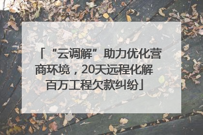 “云调解”助力优化营商环境，20天远程化解百万工程欠款纠纷