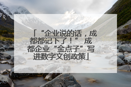 “企业说的话，成都都记下了！” 成都企业“金点子”写进数字文创政策