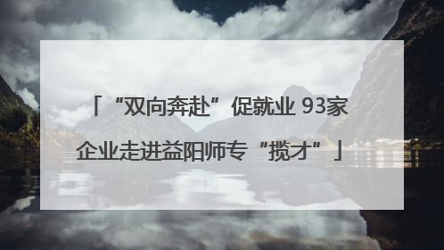 “双向奔赴”促就业 93家企业走进益阳师专“揽才”