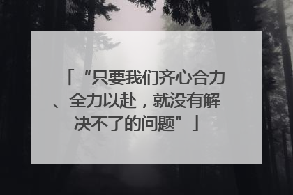 “只要我们齐心合力、全力以赴，就没有解决不了的问题”