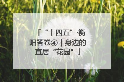 “十四五”·衡阳答卷④｜身边的宜居“花园”