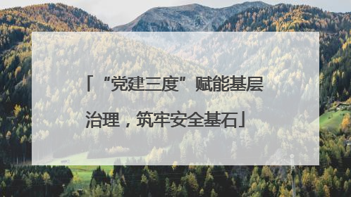 “党建三度”赋能基层治理,筑牢安全基石