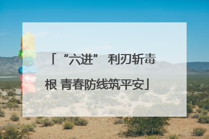 “六进” 利刃斩毒根 青春防线筑平安