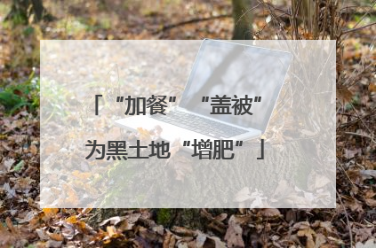 “加餐”“盖被” 为黑土地“增肥”
