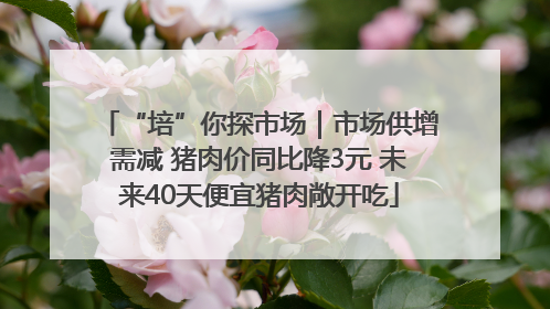 “培”你探市场｜市场供增需减 猪肉价同比降3元 未来40天便宜猪肉敞开吃