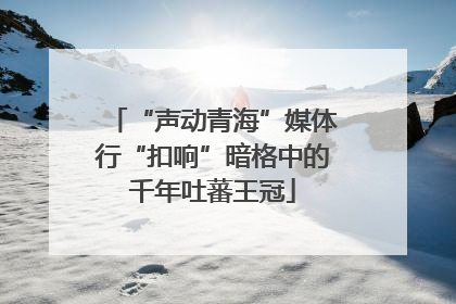 “声动青海”媒体行“扣响”暗格中的千年吐蕃王冠