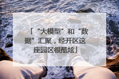 “大模型”和“数据”汇聚，经开区这座园区很酷炫