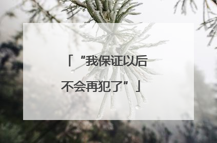 “我保证以后不会再犯了”