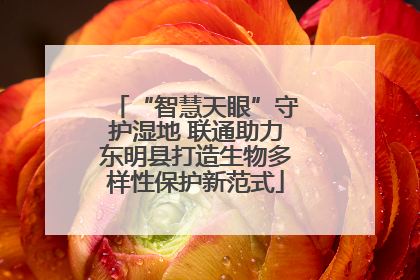 “智慧天眼”守护湿地 联通助力东明县打造生物多样性保护新范式