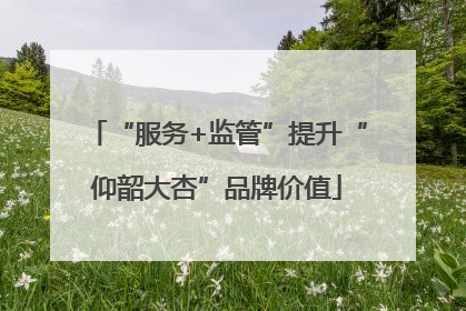 “服务+监管”提升“仰韶大杏”品牌价值