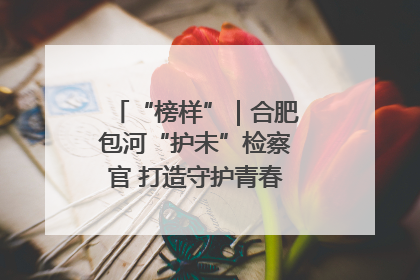 “榜样”｜合肥包河“护未”检察官 打造守护青春成长的永恒灯塔