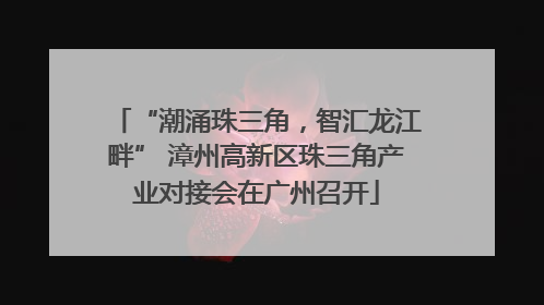“潮涌珠三角，智汇龙江畔” 漳州高新区珠三角产业对接会在广州召开