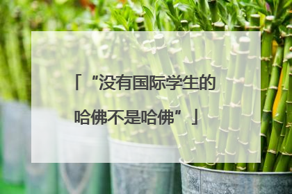 “没有国际学生的哈佛不是哈佛”