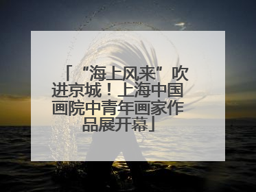 “海上风来”吹进京城！上海中国画院中青年画家作品展开幕