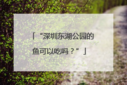 “深圳东湖公园的鱼可以吃吗？”