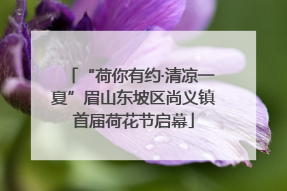 “荷你有约·清凉一夏”眉山东坡区尚义镇首届荷花节启幕