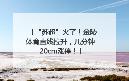 “苏超”火了！金陵体育直线拉升，几分钟20cm涨停！