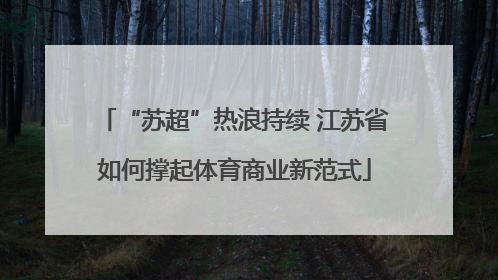 “苏超”热浪持续 江苏省如何撑起体育商业新范式