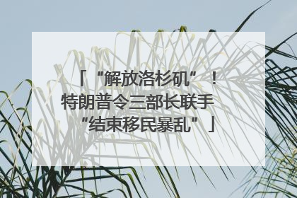 “解放洛杉矶”！特朗普令三部长联手“结束移民暴乱”
