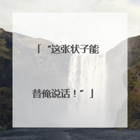 “这张状子能替俺说话！”