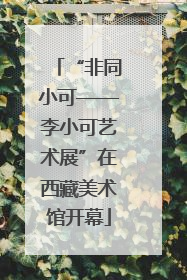 “非同小可——李小可艺术展”在西藏美术馆开幕