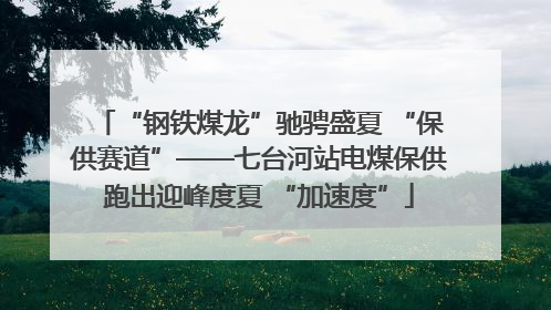 “钢铁煤龙”驰骋盛夏 “保供赛道”——七台河站电煤保供跑出迎峰度夏 “加速度”