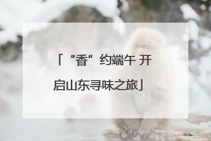 “香”约端午 开启山东寻味之旅