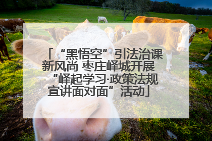 “黑悟空”引法治课新风尚 枣庄峄城开展“峄起学习·政策法规宣讲面对面”活动