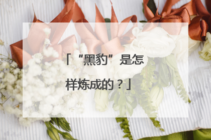“黑豹”是怎样炼成的？