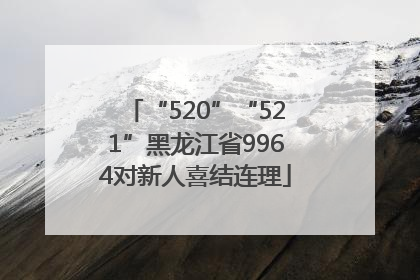 “520”“521”黑龙江省9964对新人喜结连理