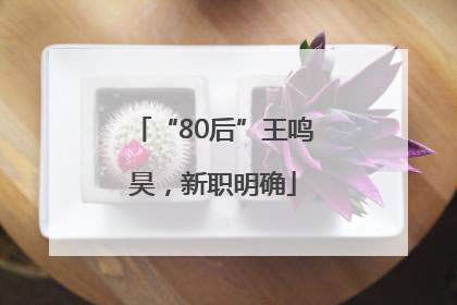 “80后”王鸣昊，新职明确