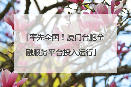 率先全国！厦门台胞金融服务平台投入运行