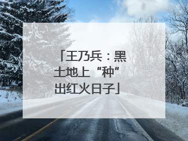王乃兵：黑土地上“种”出红火日子