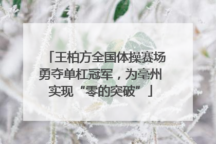 王柏方全国体操赛场勇夺单杠冠军，为亳州实现“零的突破”