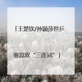 王楚钦/孙颖莎世乒赛混双“三连冠”