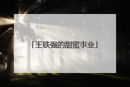 王铁强的甜蜜事业